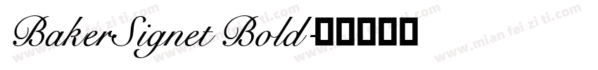BakerSignet Bold字体转换